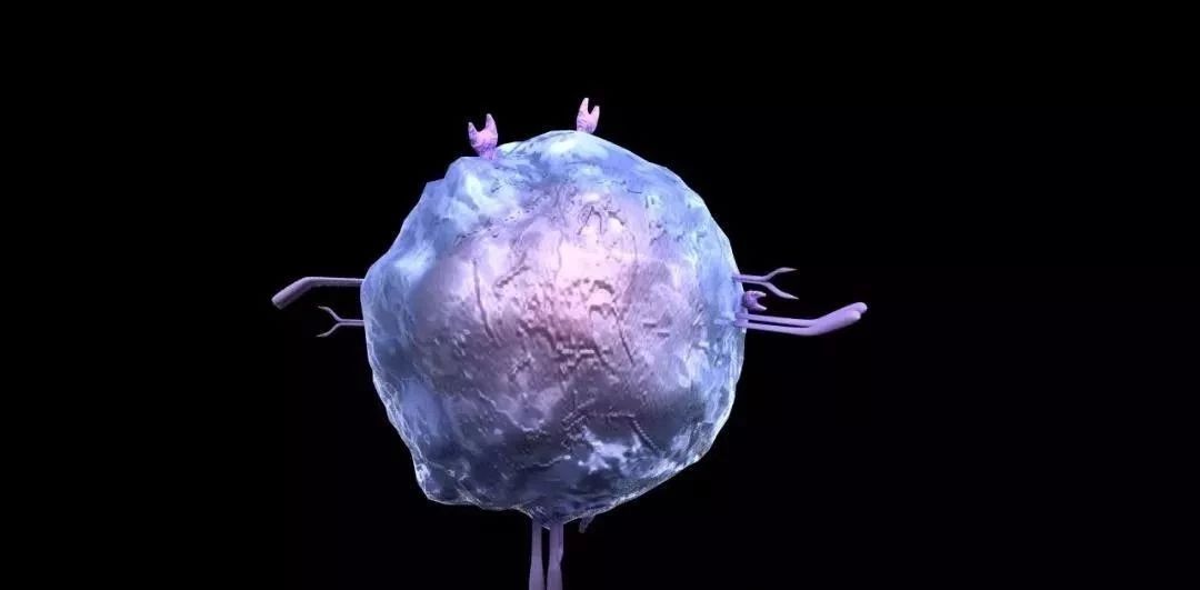 肿瘤的天敌:细胞毒性t细胞