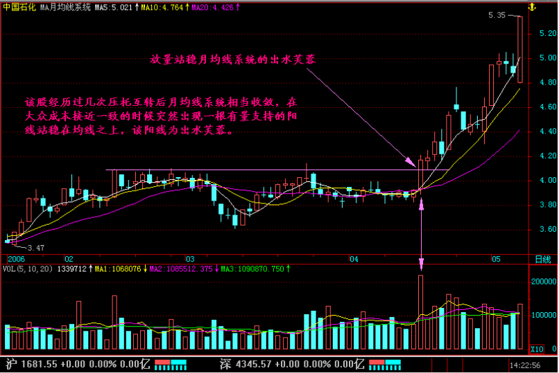 300天慧眼识图 之 出水芙蓉